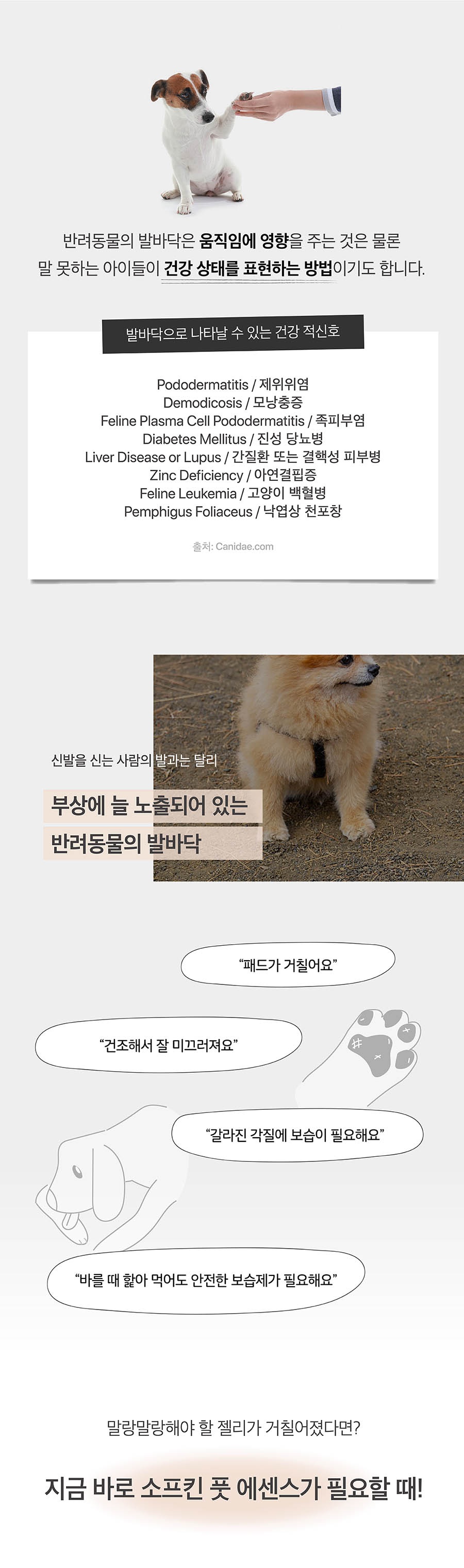 소프킨 풋 에센스-상품이미지-1