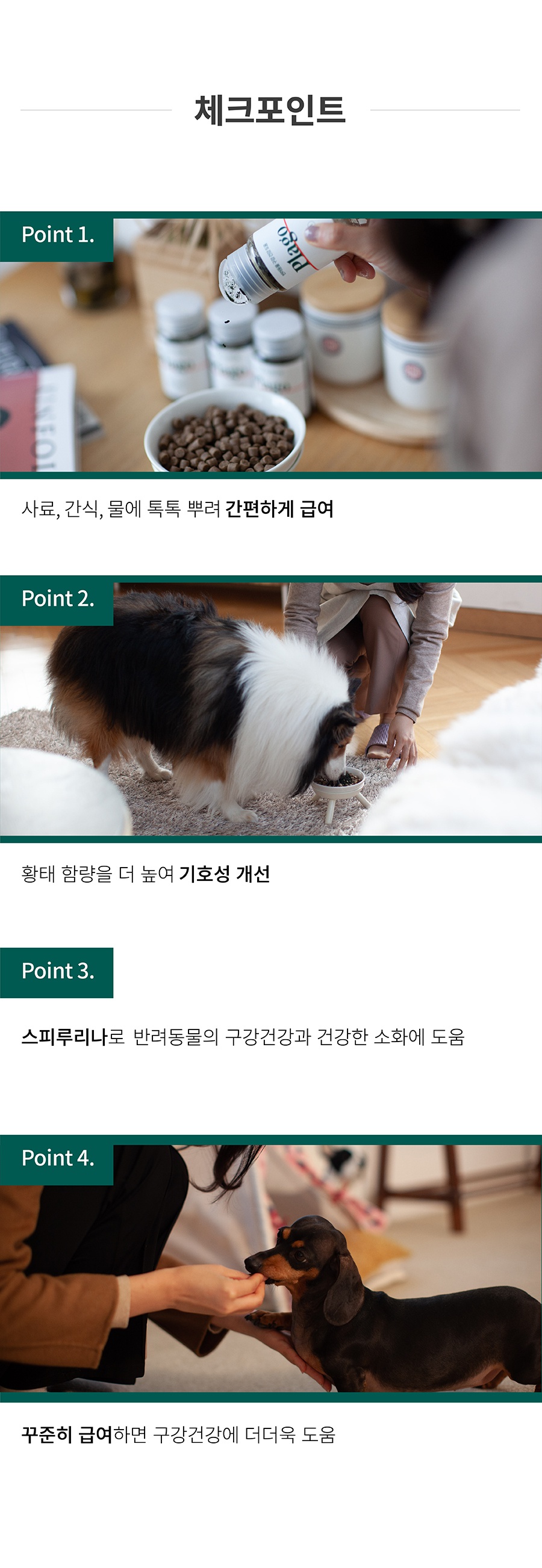 플라고 파우더 (45g)-상품이미지-5