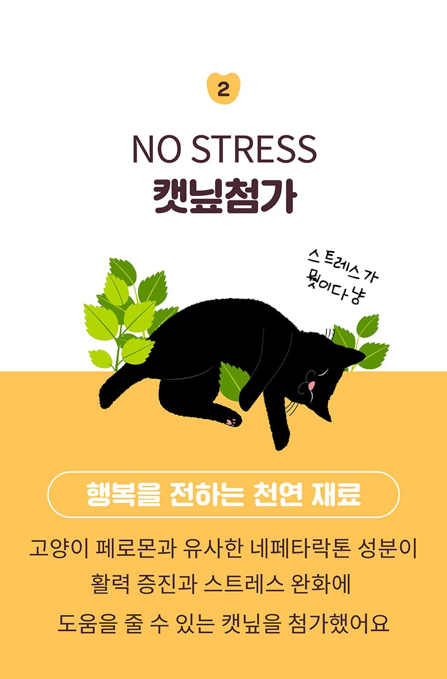 it 더 잇츄 캣 미니 (흰살생선&크랜베리/참치&파인애플)-상품이미지-13