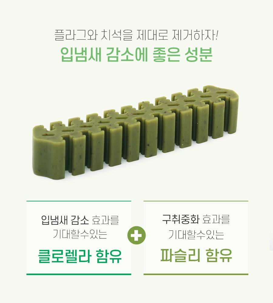 덴티페어리 클로로필 M 대용량 (34P)-상품이미지-6